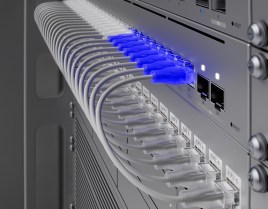 UACC-CABLE-PATCH-EL-0.3M-W-2